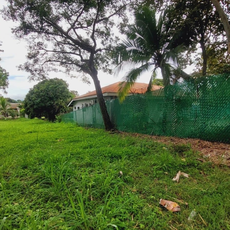 780