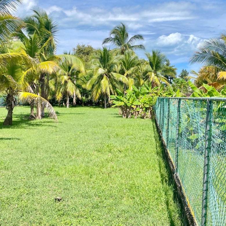 780
