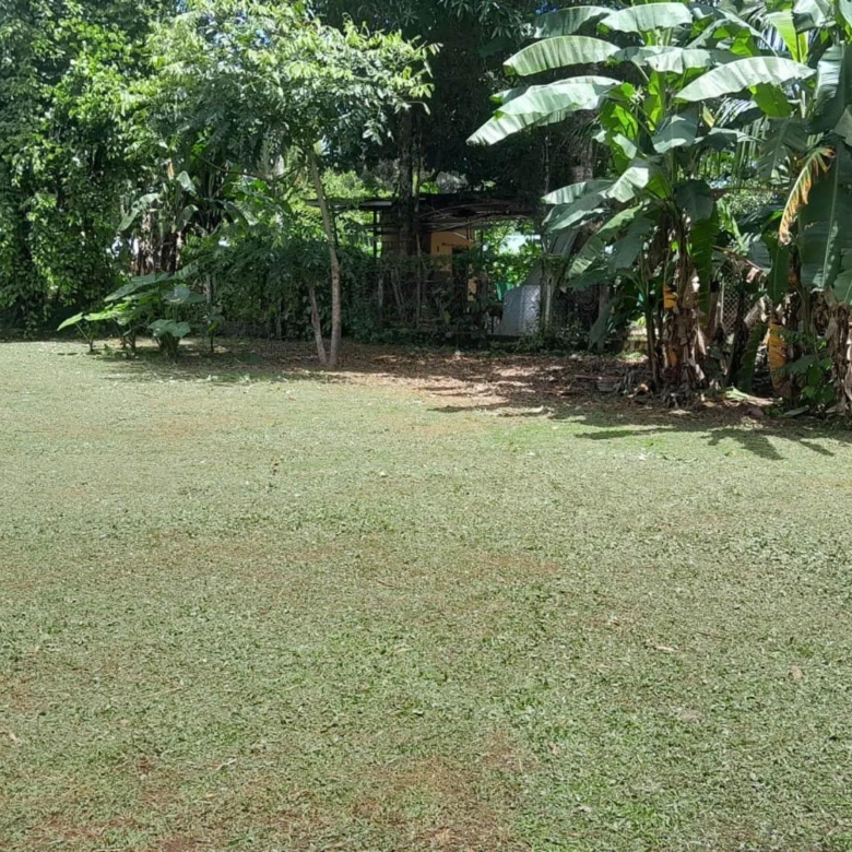 780