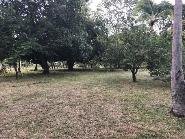 640