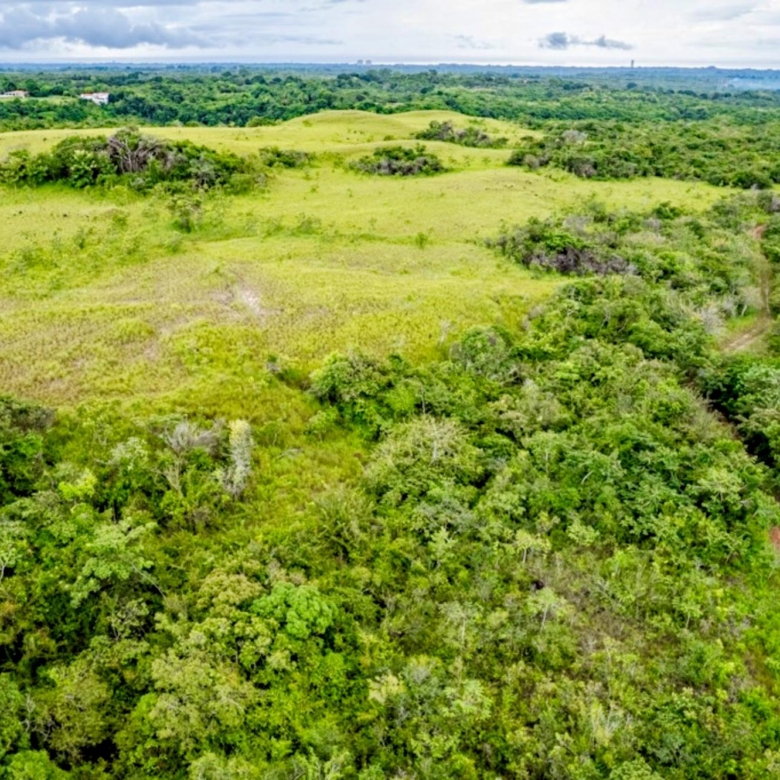 780