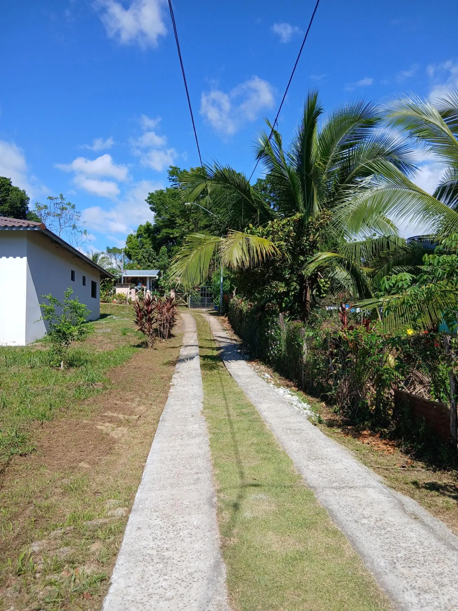 photo_server