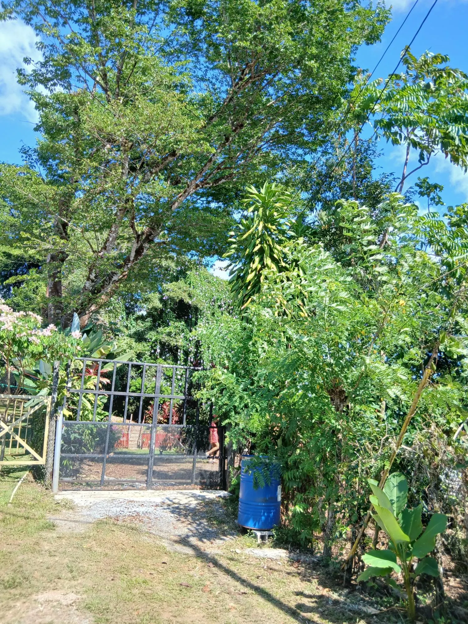 photo_server