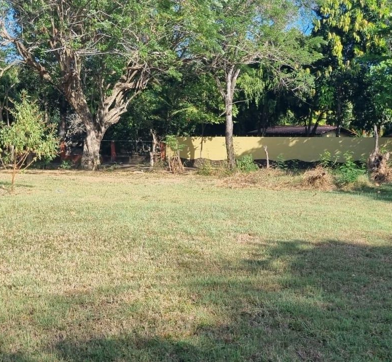 780