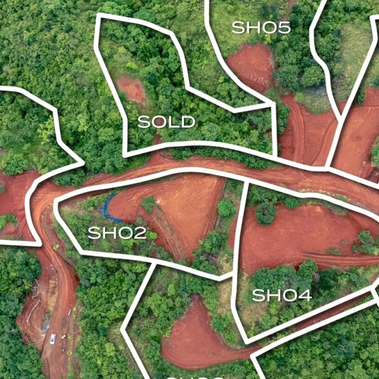 780