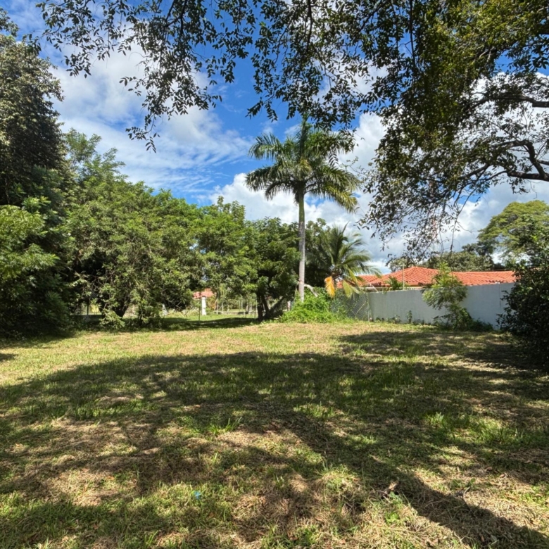 780