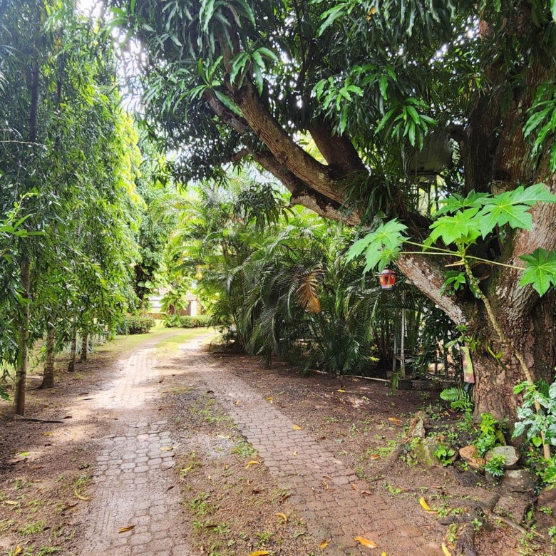 780
