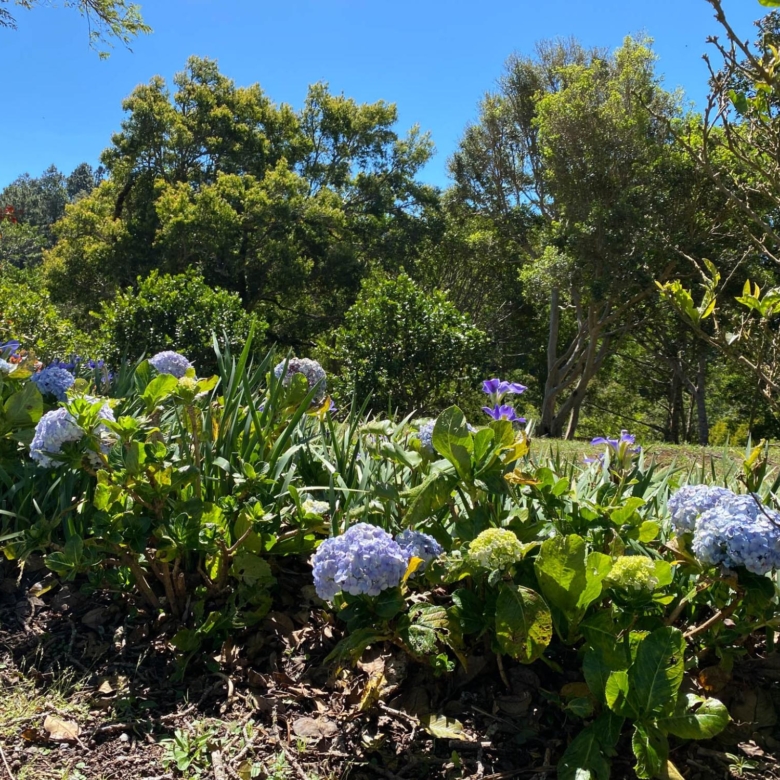 780