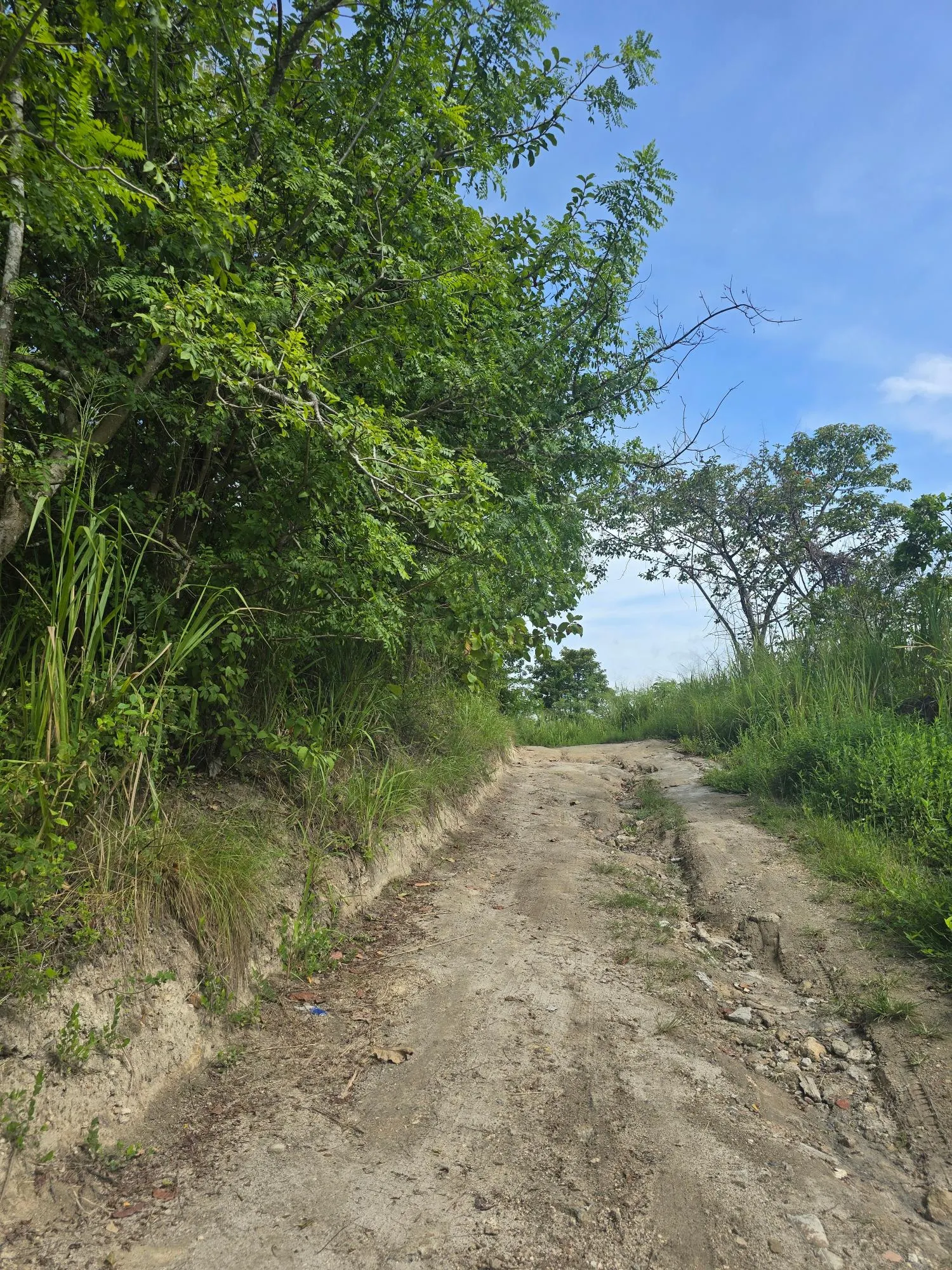 photo_server