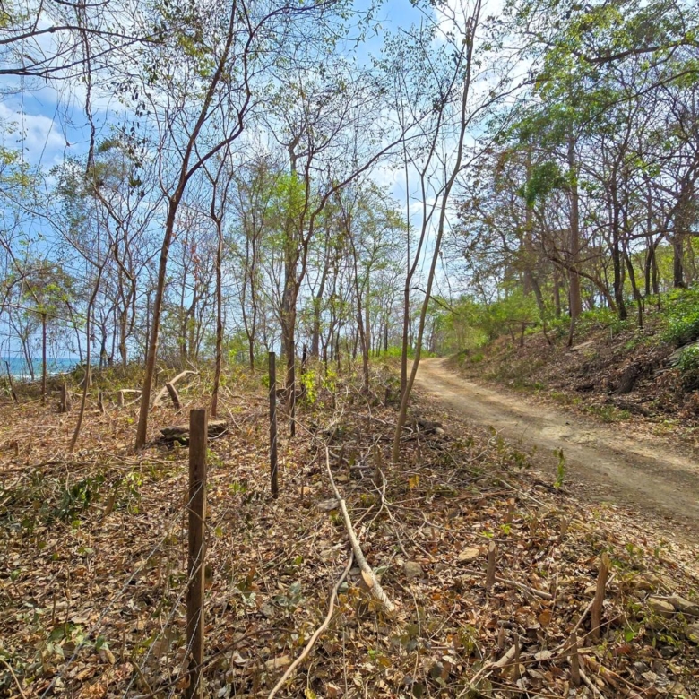 780