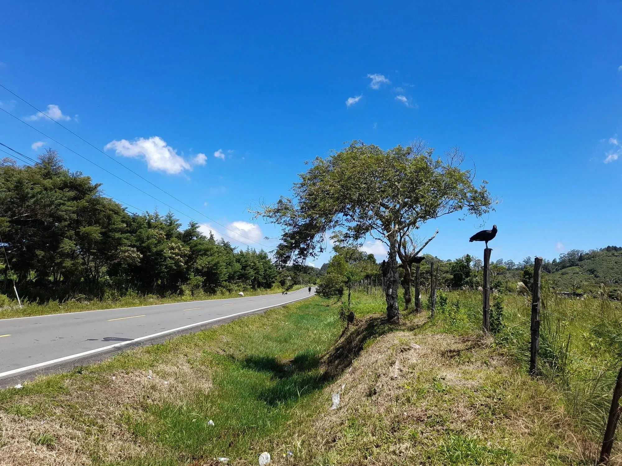 photo_server