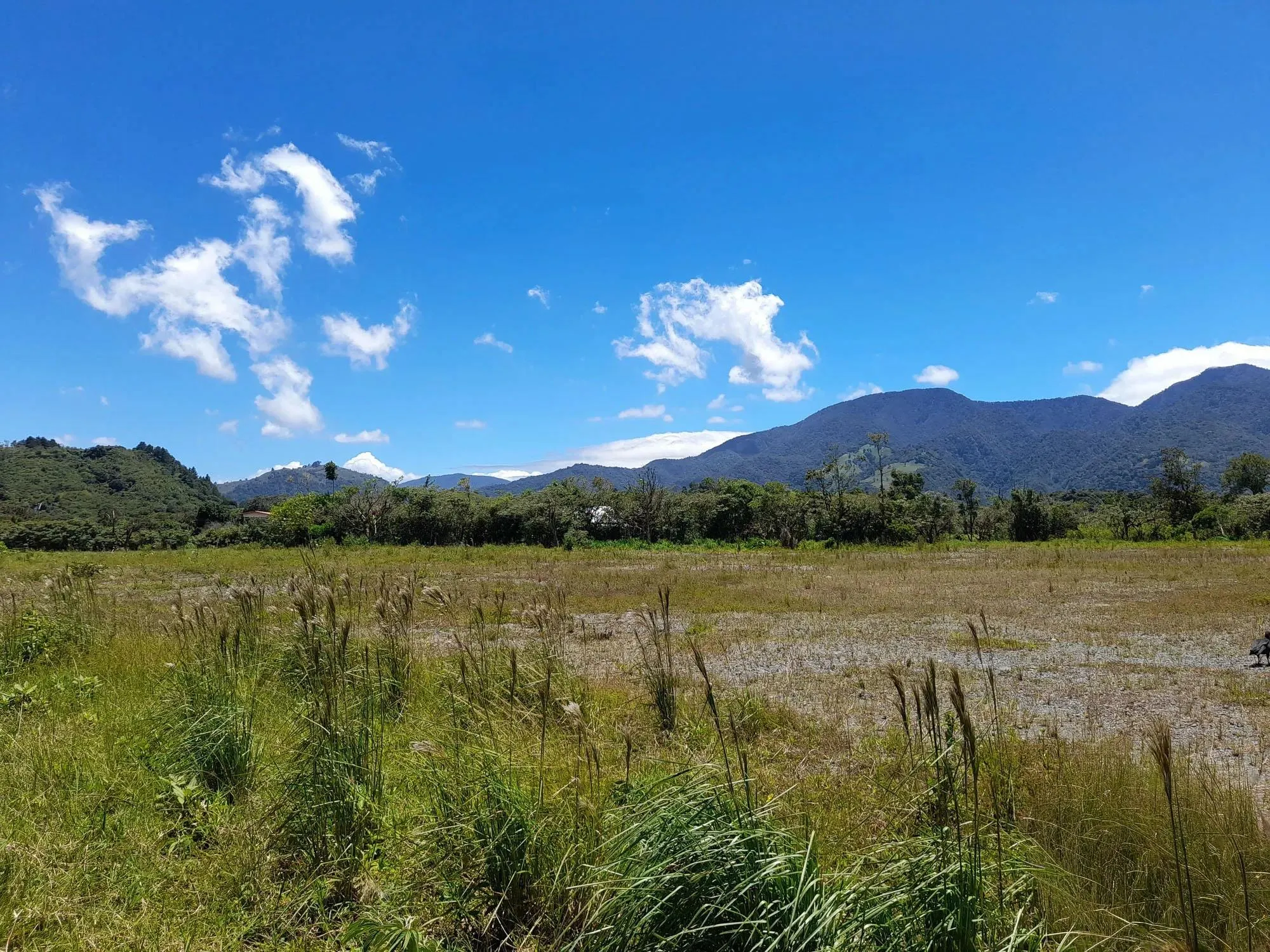 photo_server