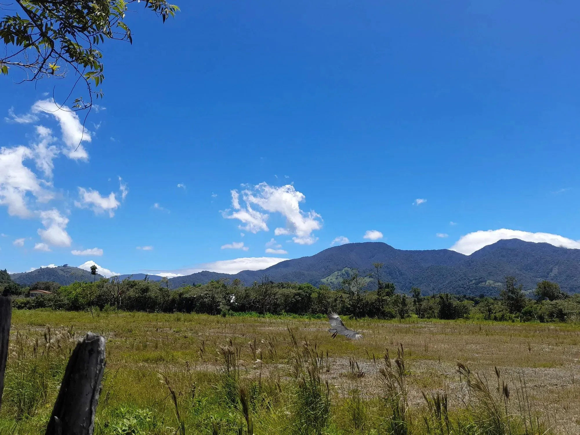 photo_server