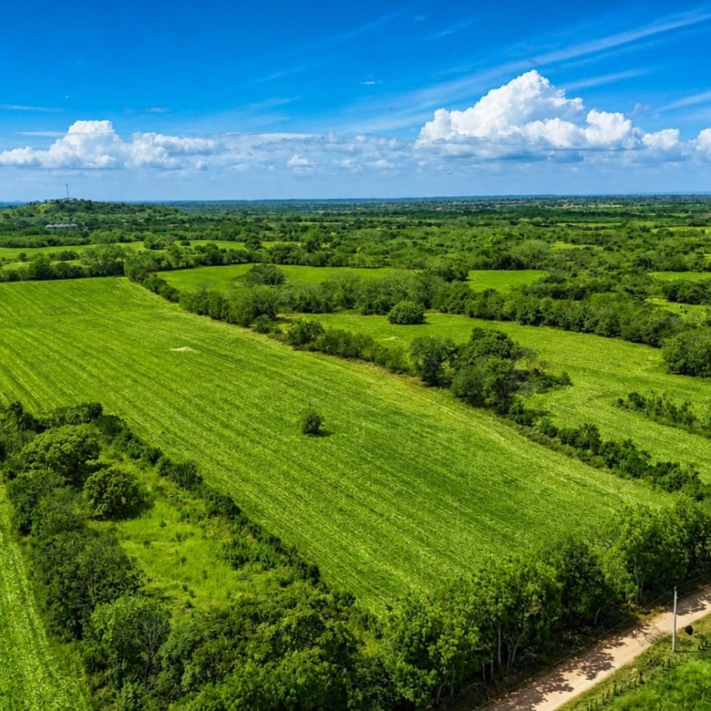 780