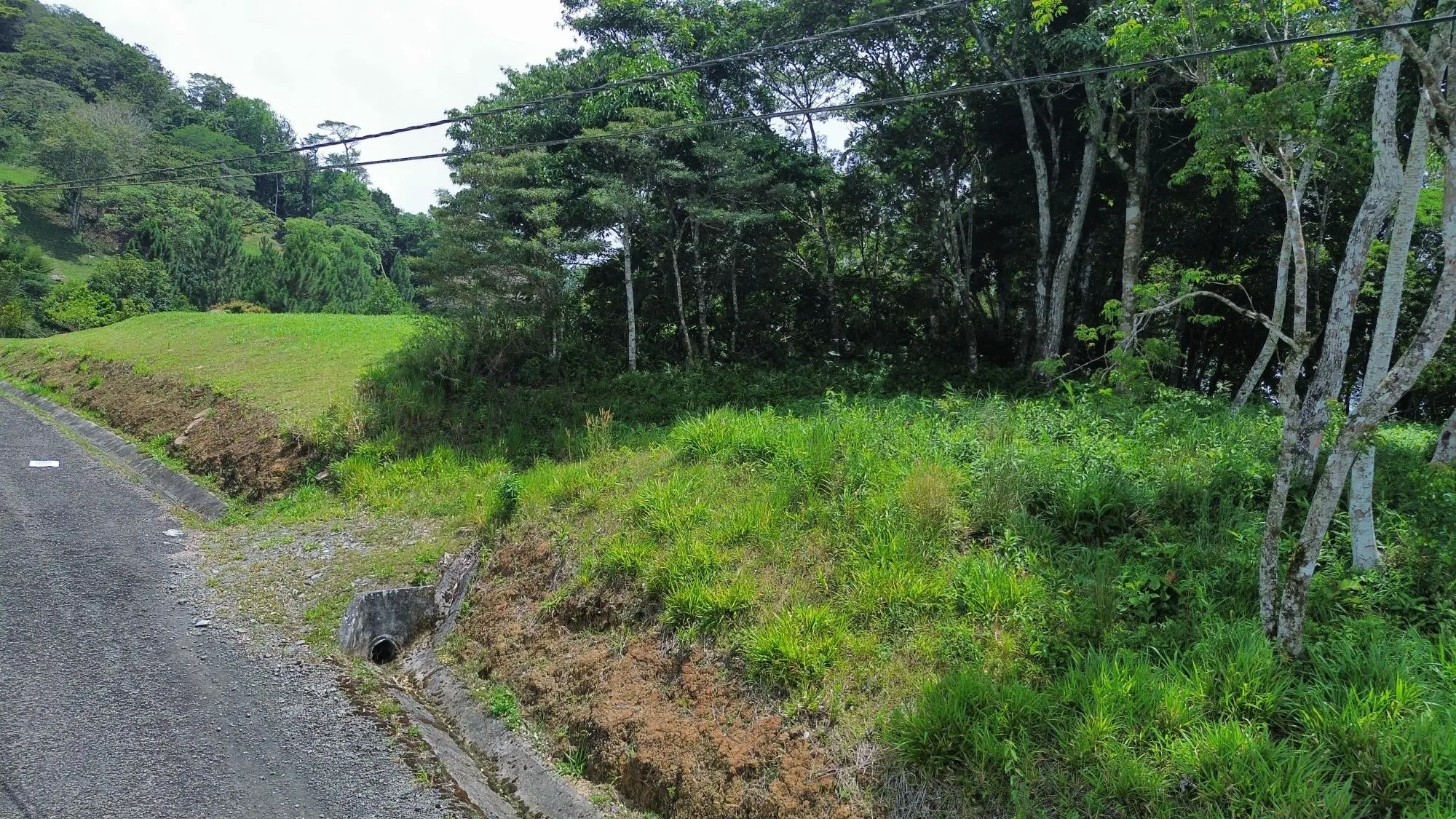 photo_server