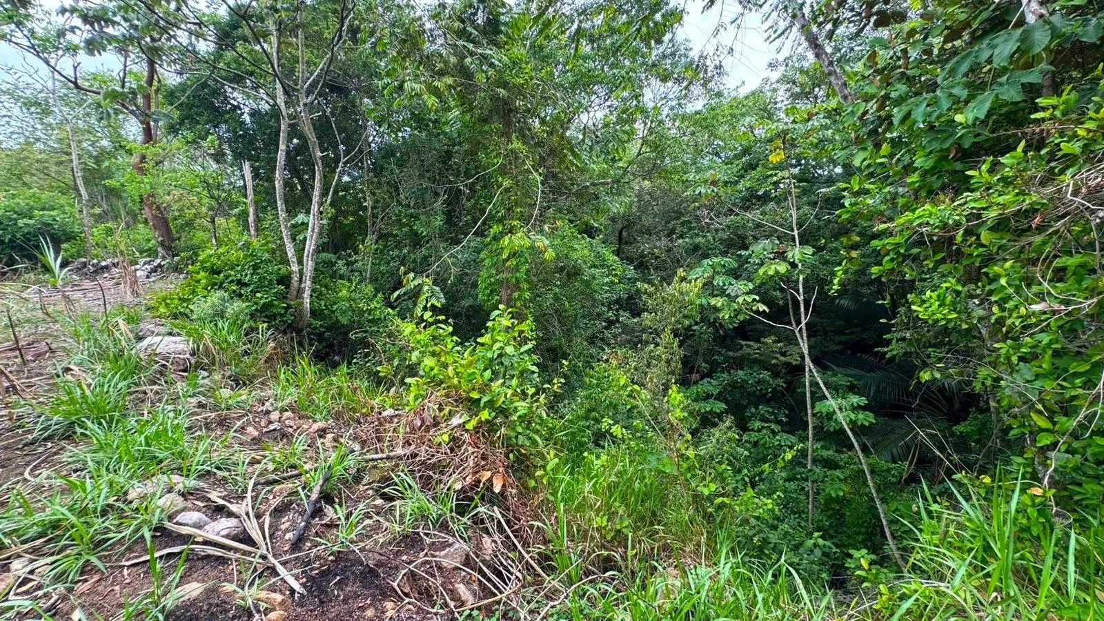 photo_server