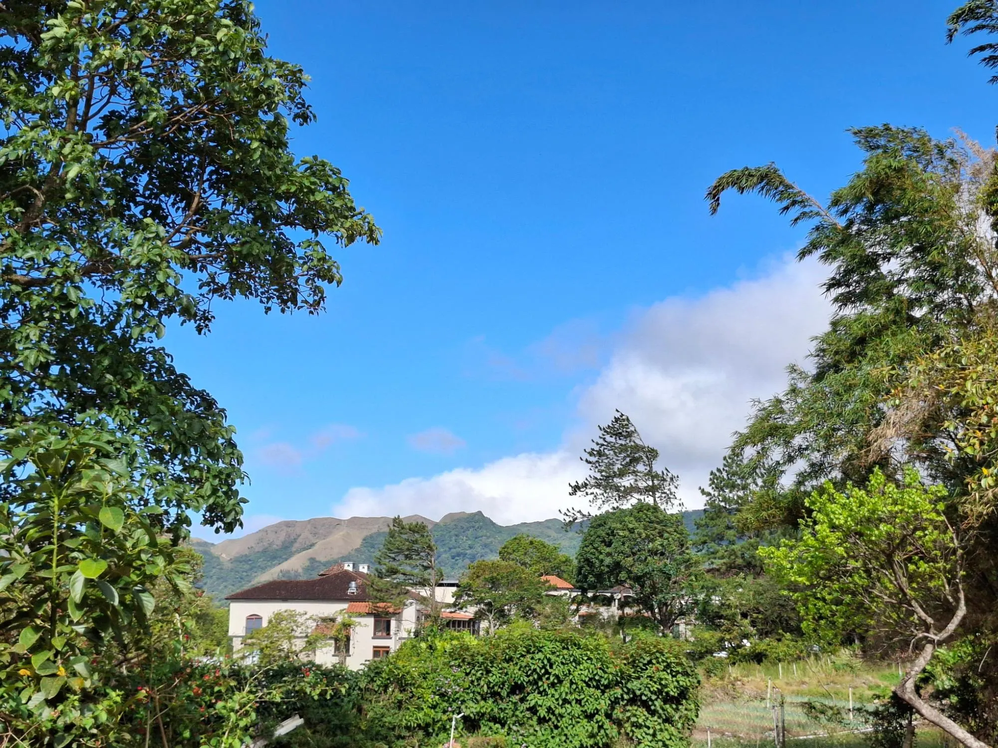photo_server