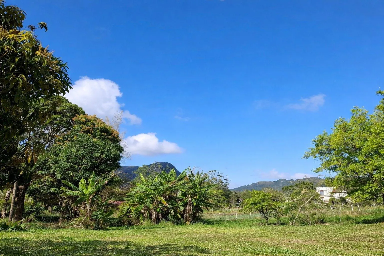 photo_server