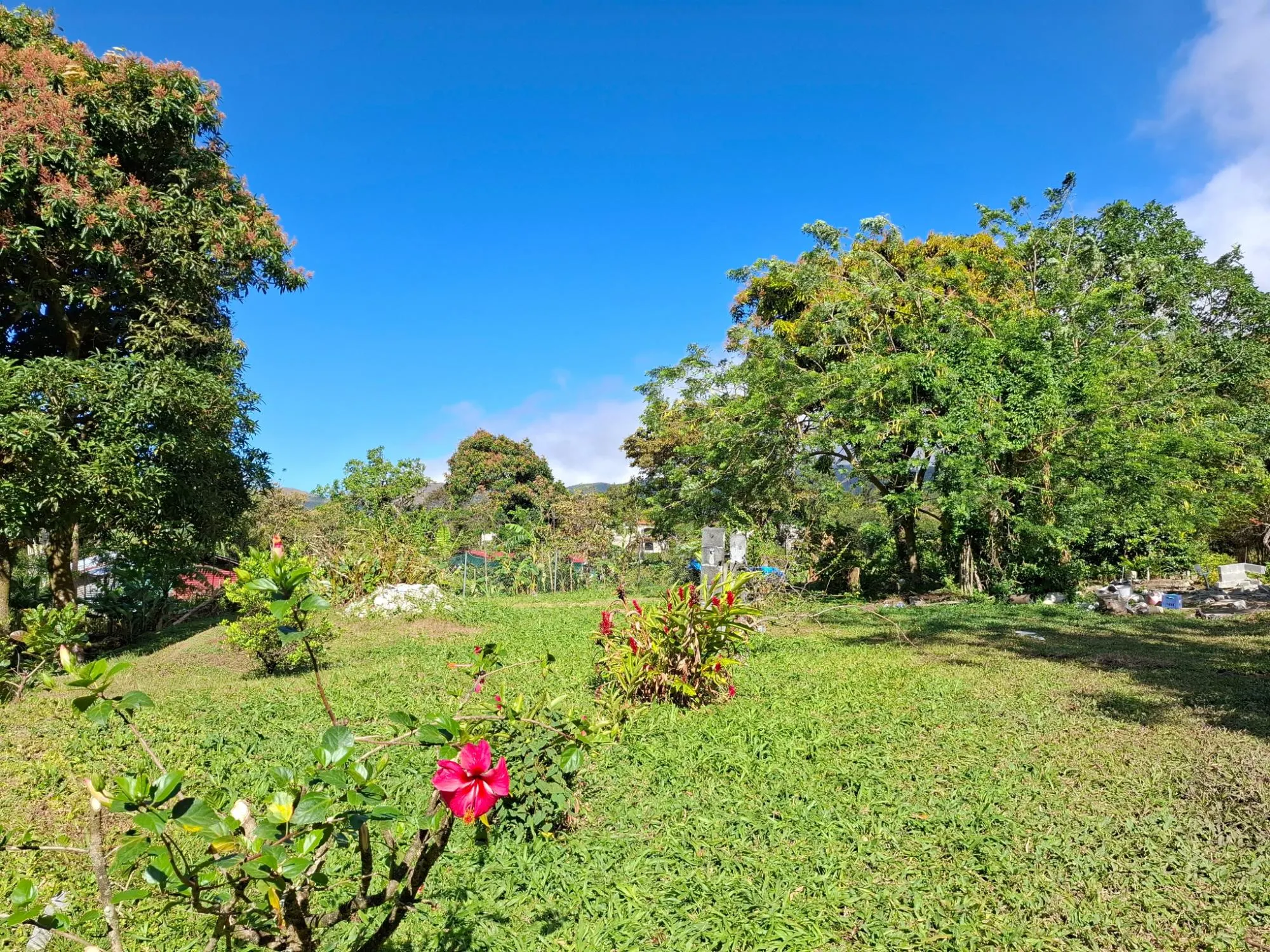 photo_server