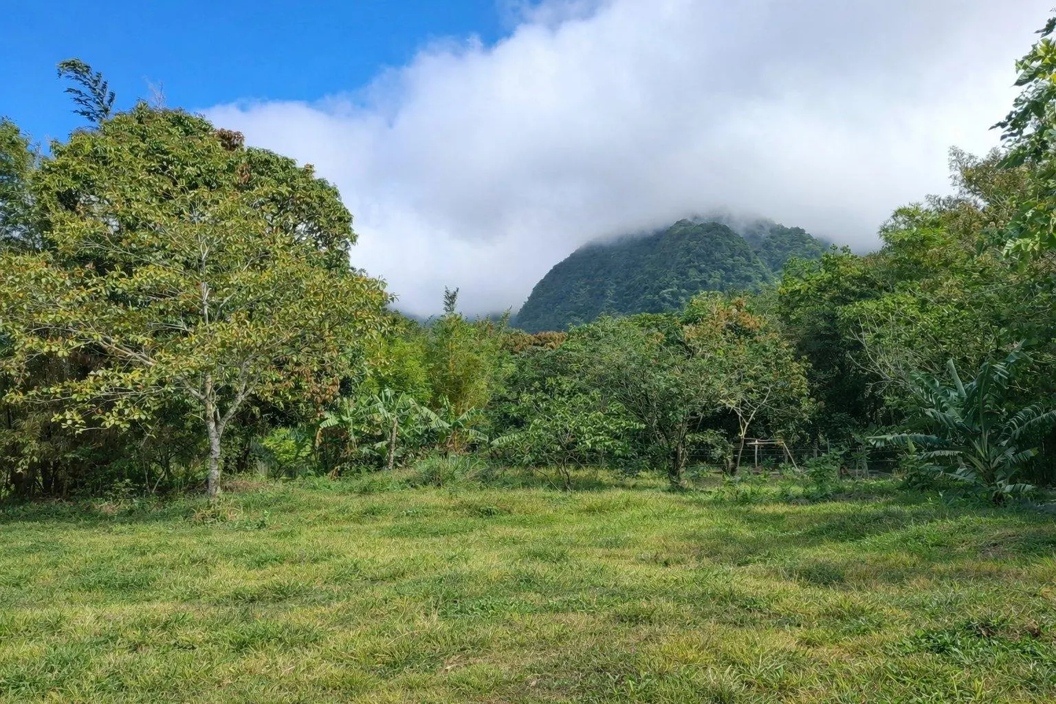 photo_server