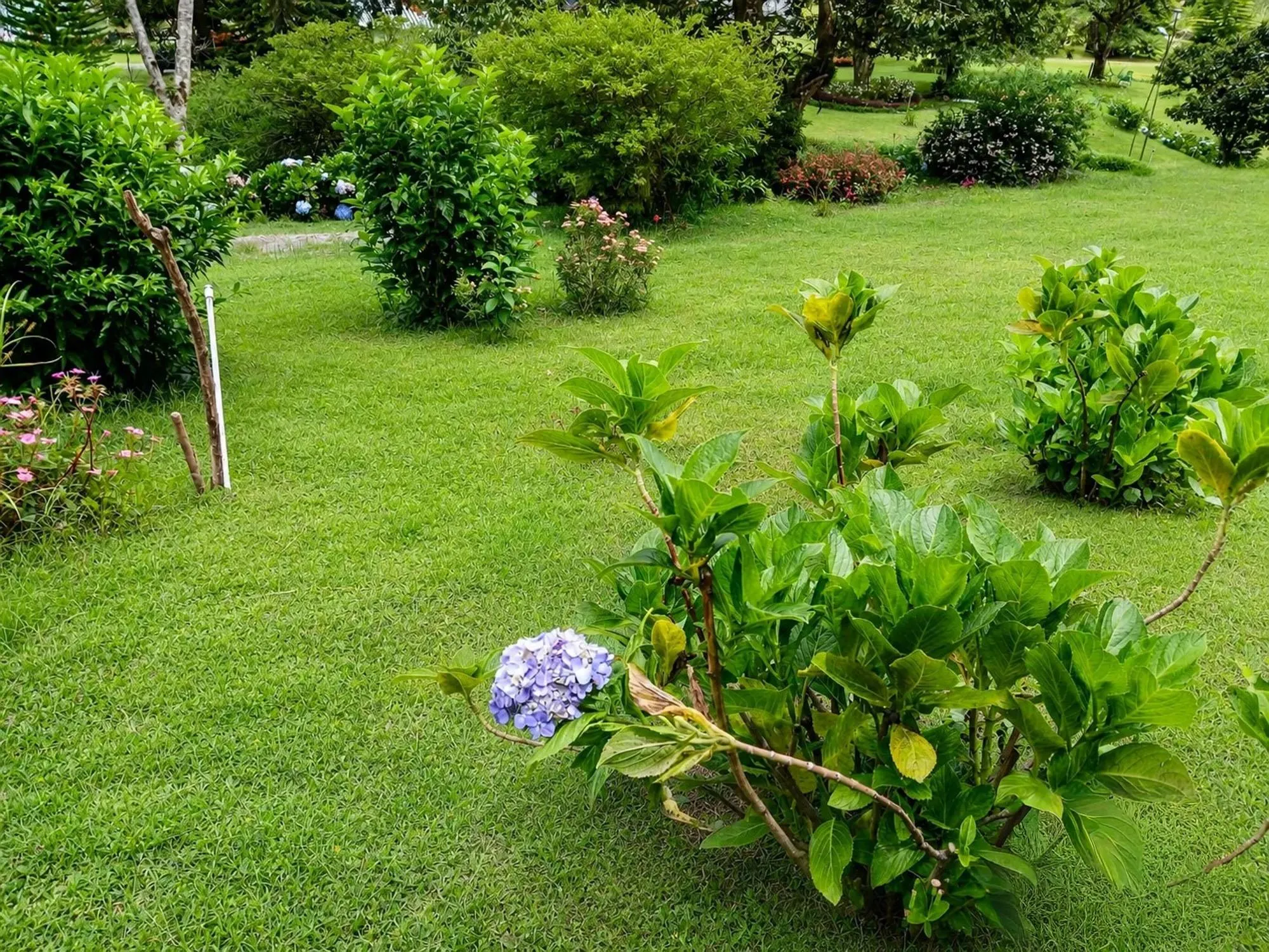 photo_server