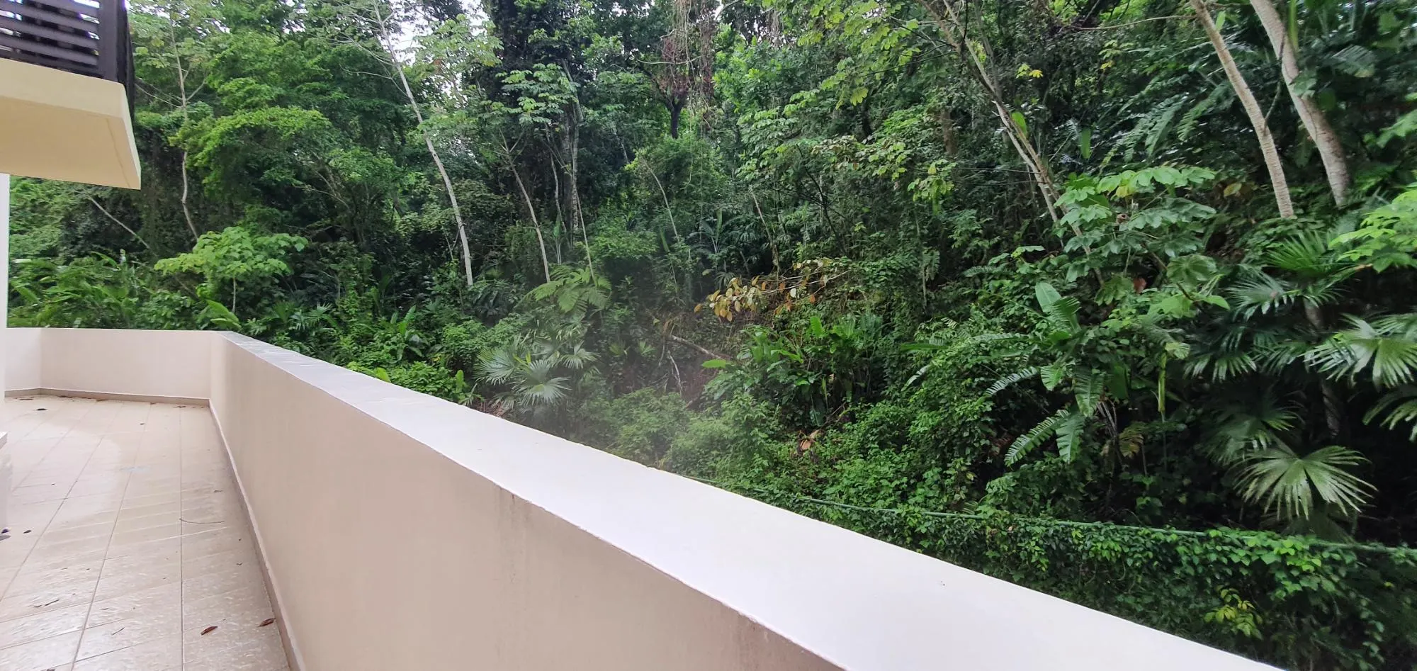 photo_server