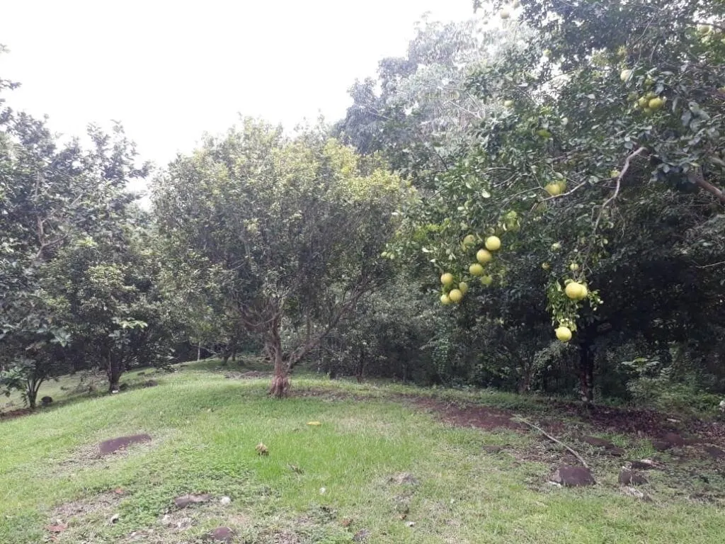 photo_server