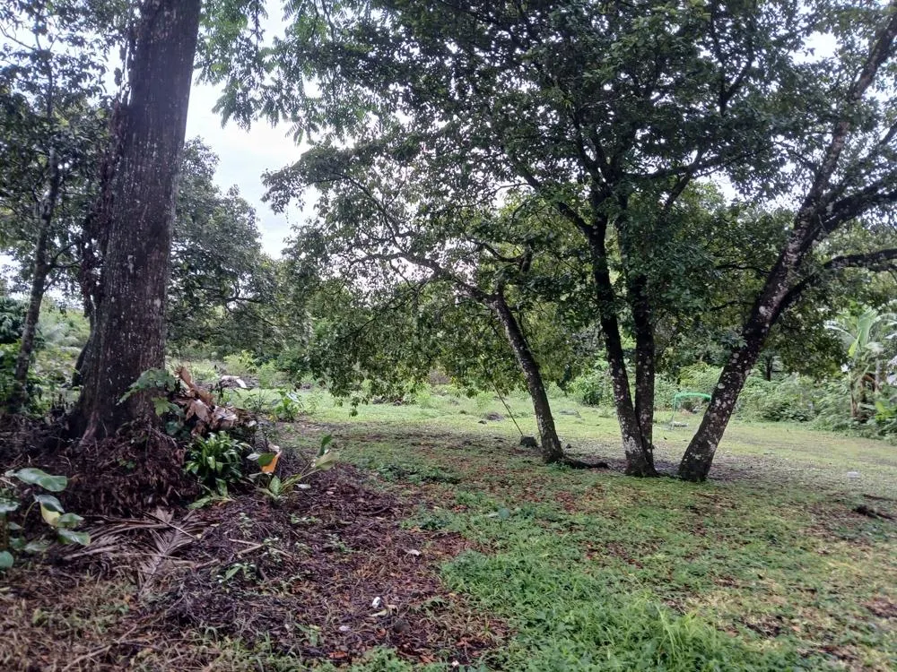 photo_server