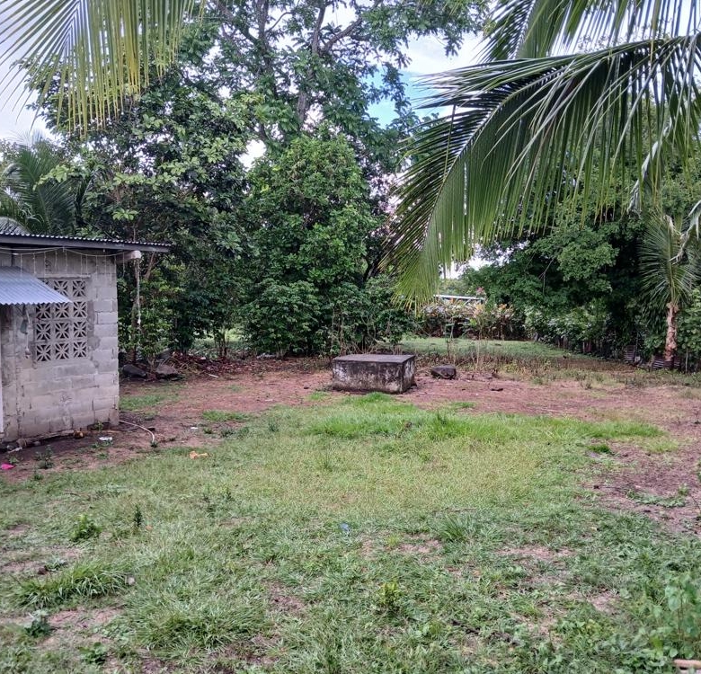 780