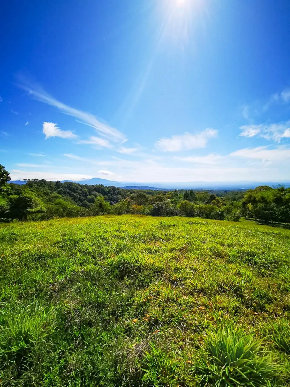 photo_server