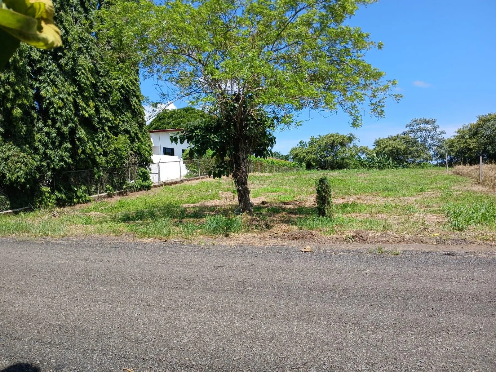 photo_server