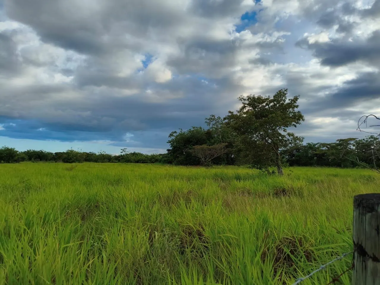 photo_server