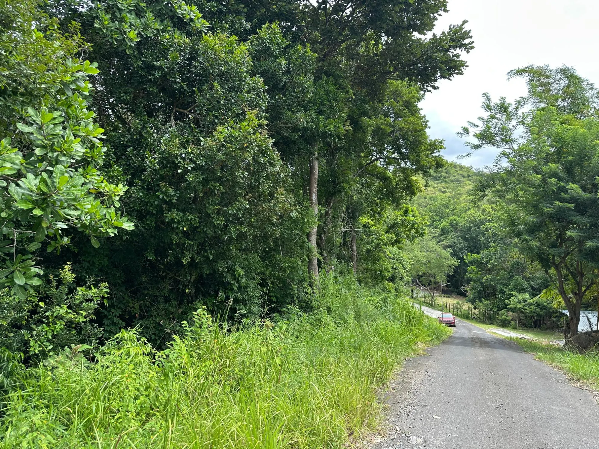 photo_server