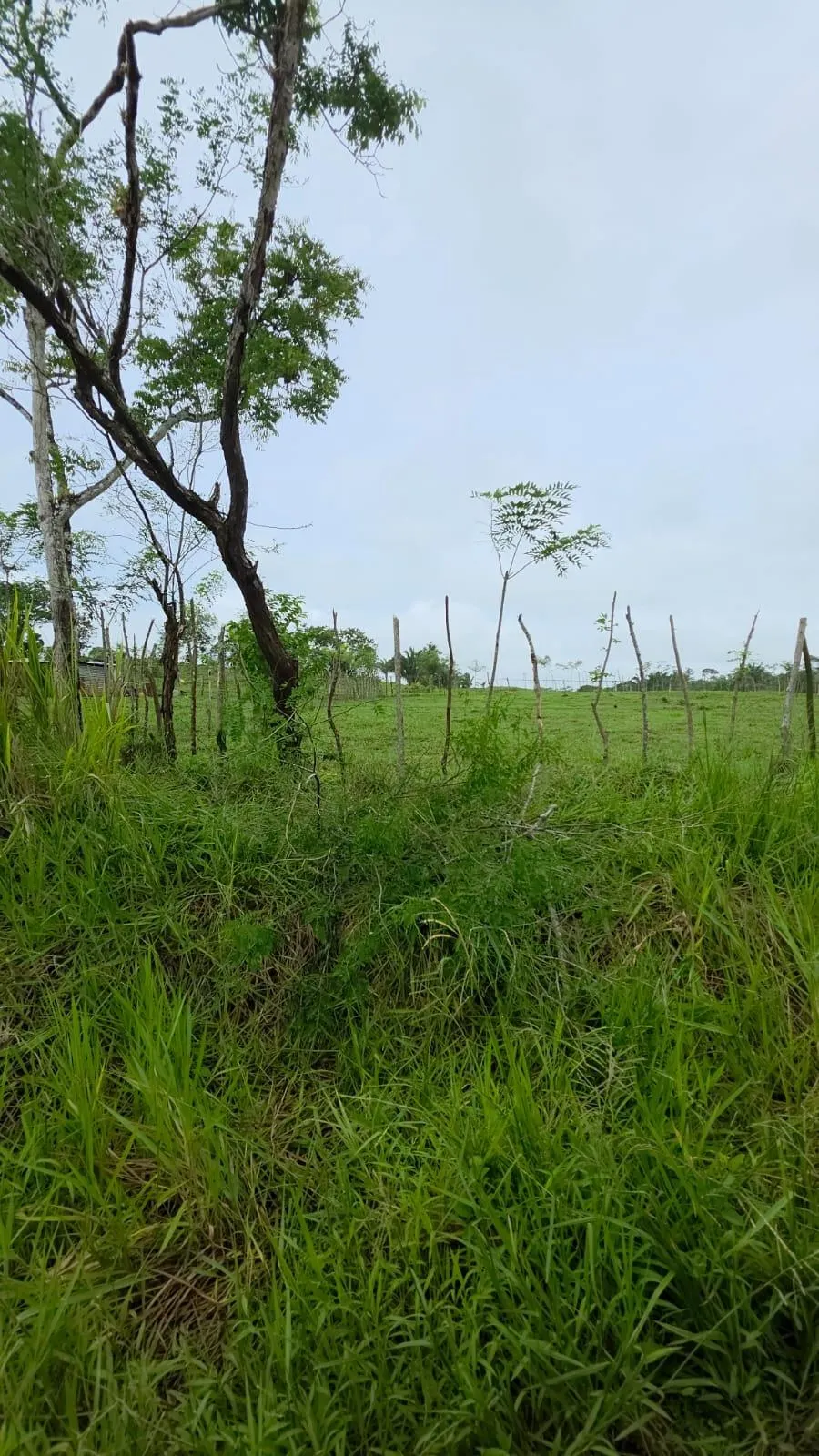 photo_server
