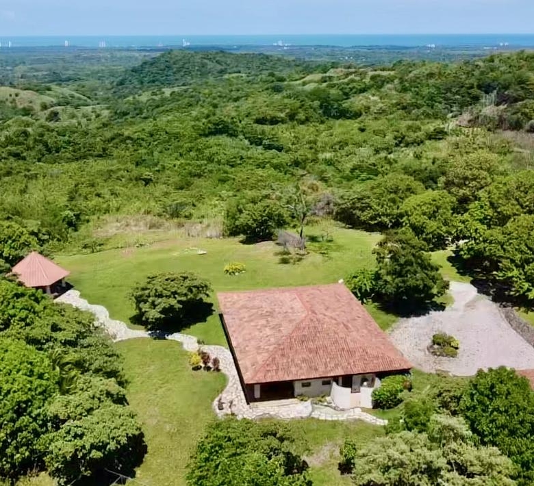 780