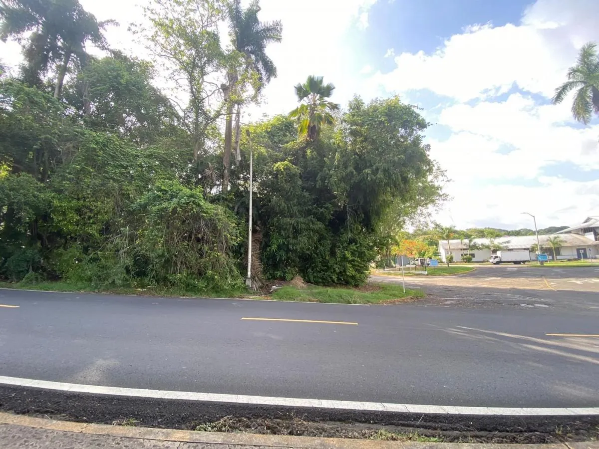 photo_server