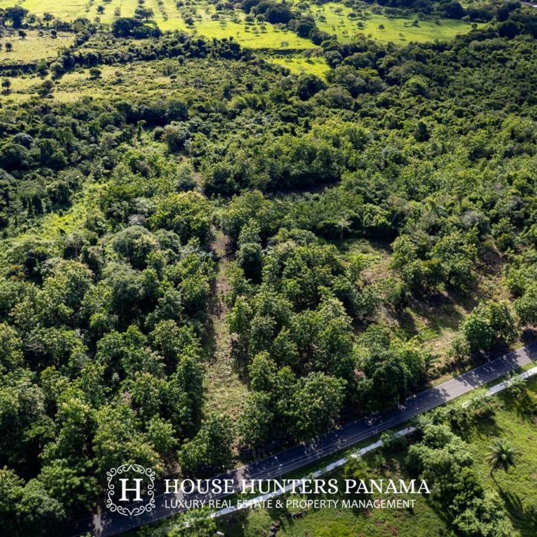780