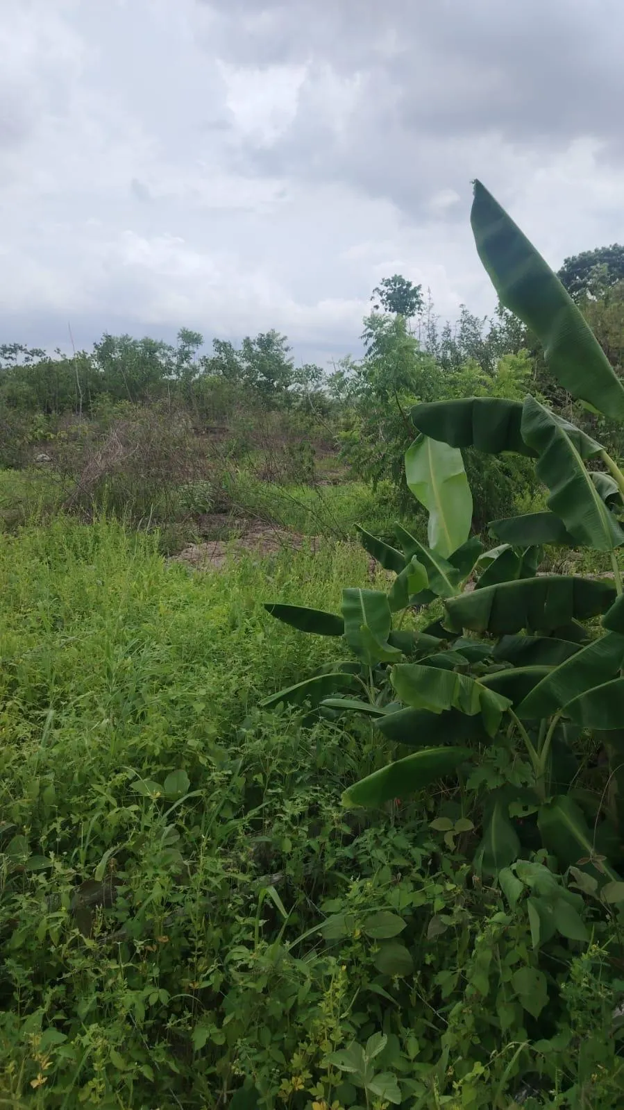 photo_server