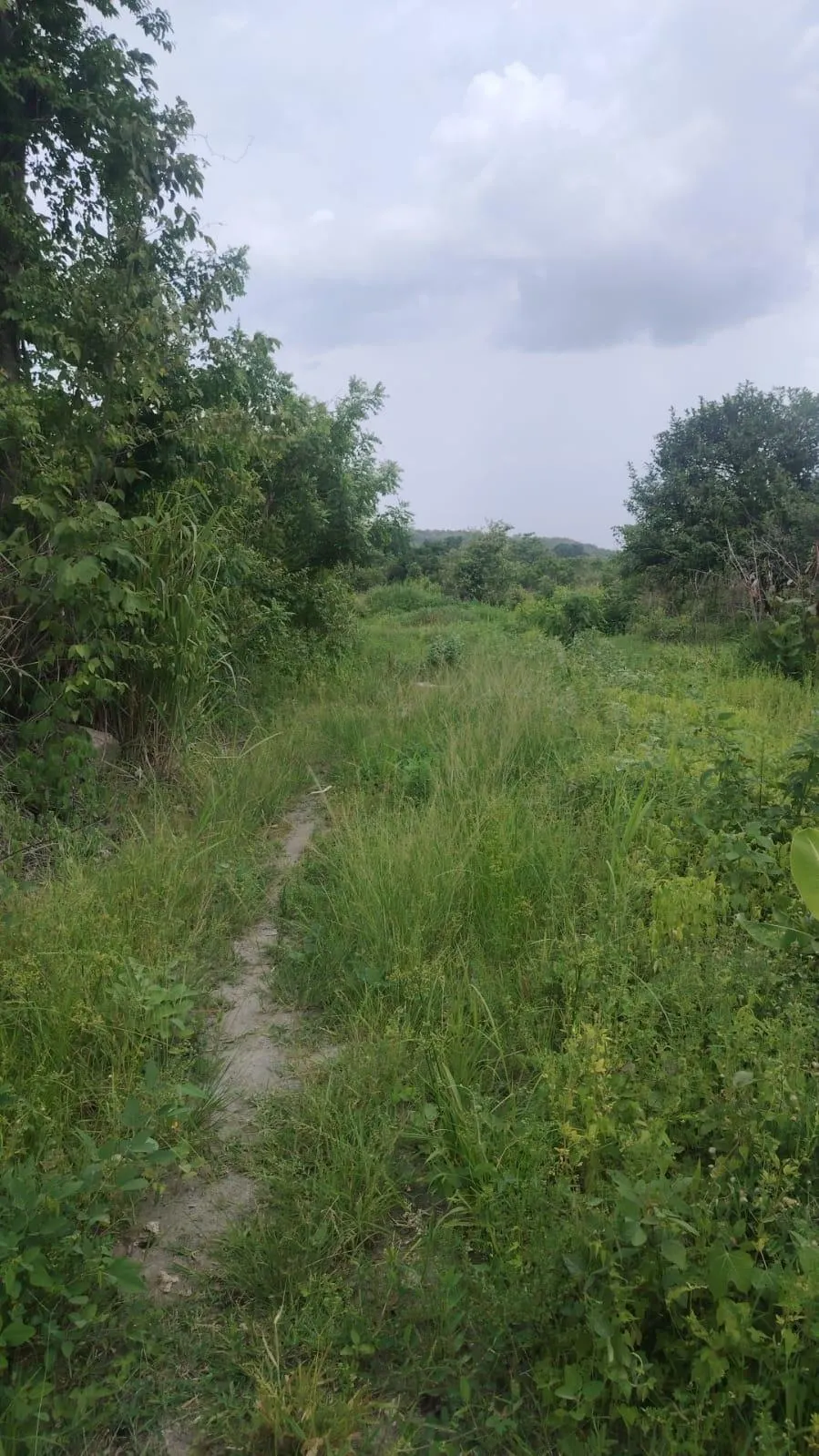 photo_server