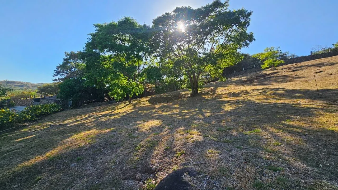 photo_server