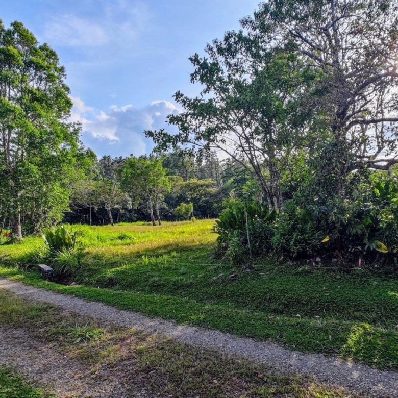 780