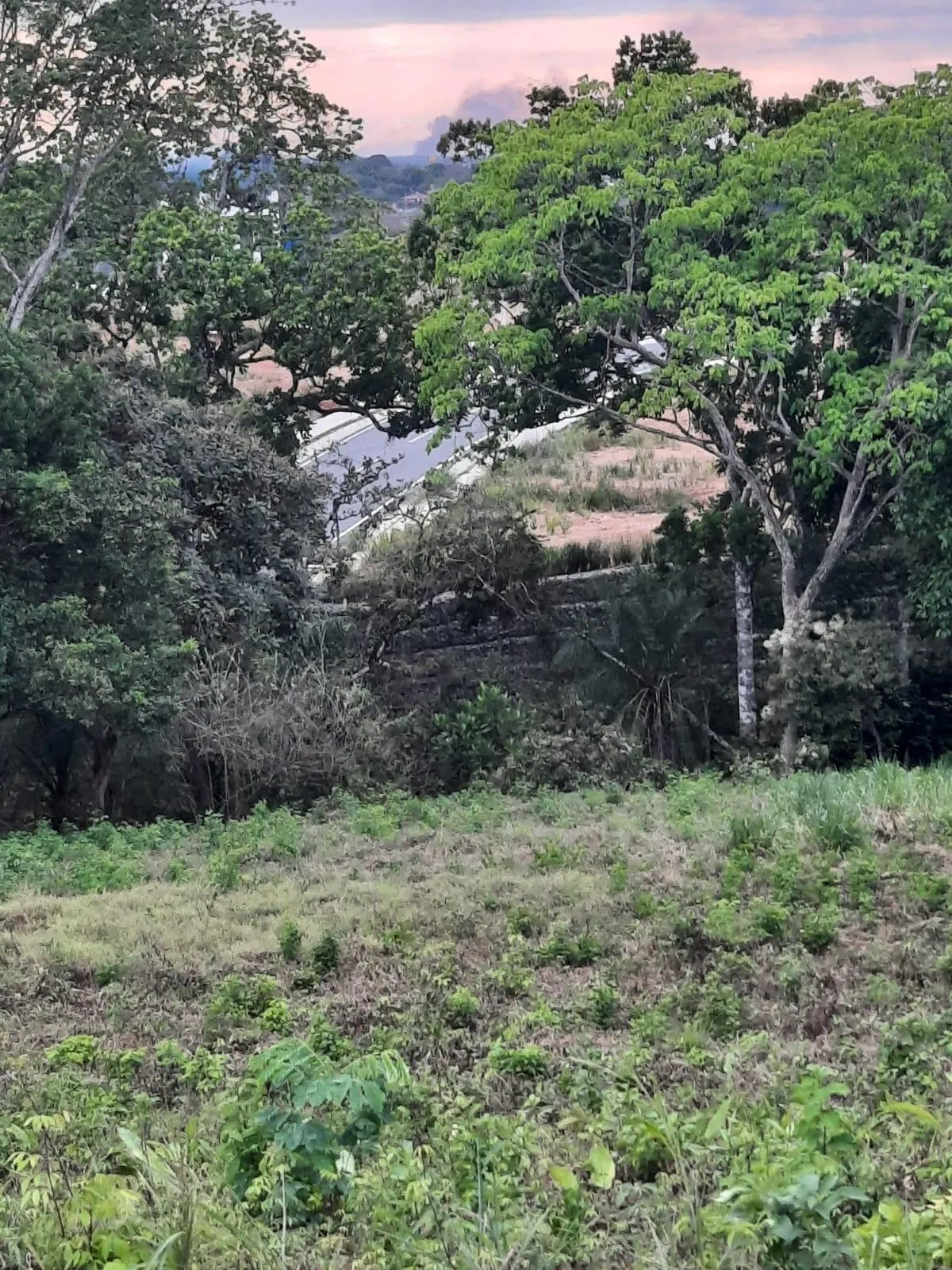 photo_server