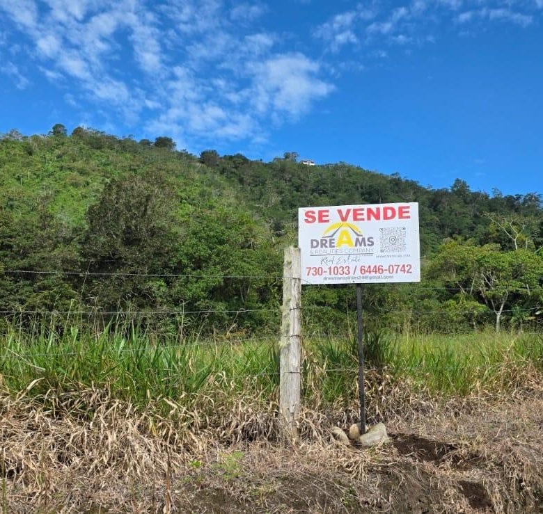 780