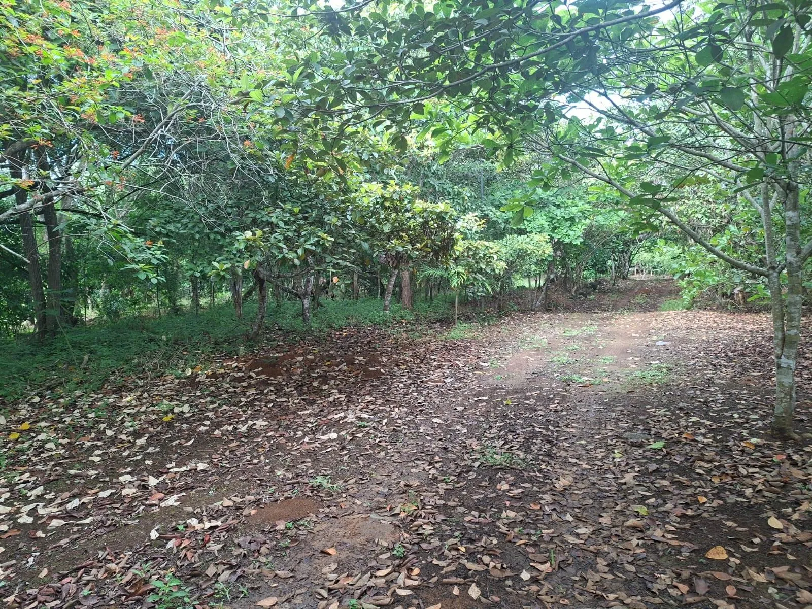 photo_server