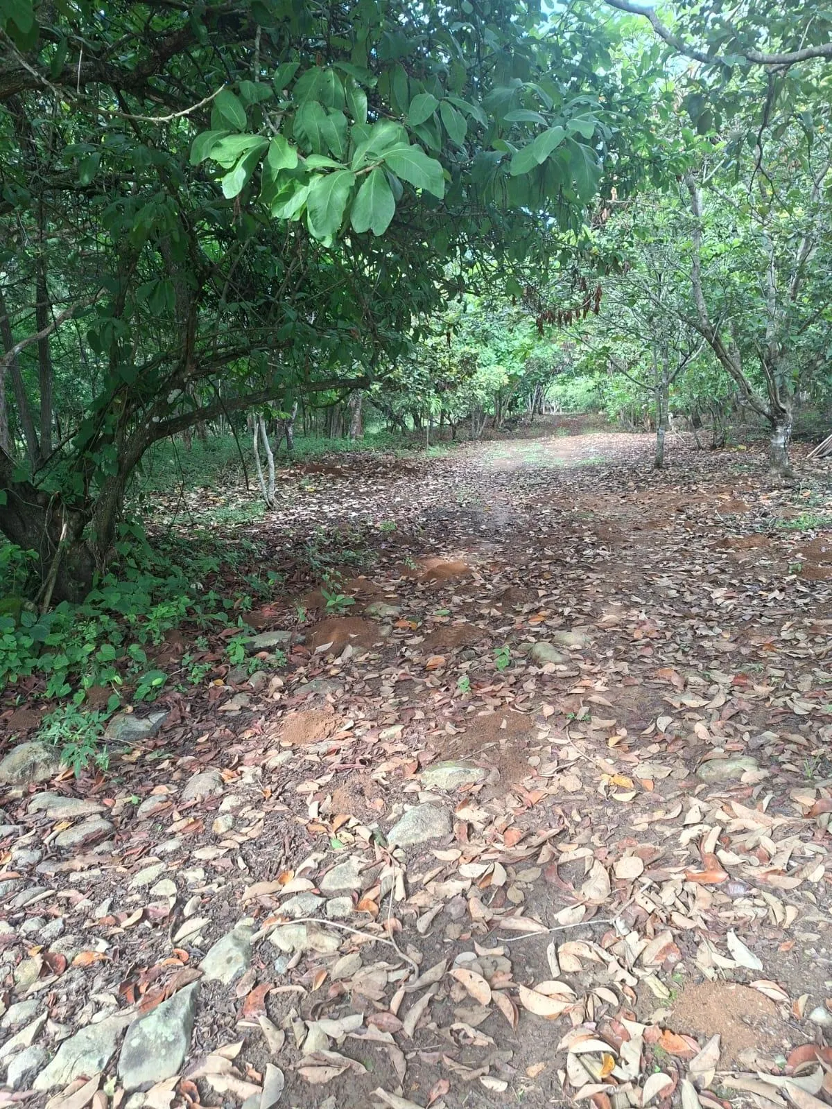 photo_server