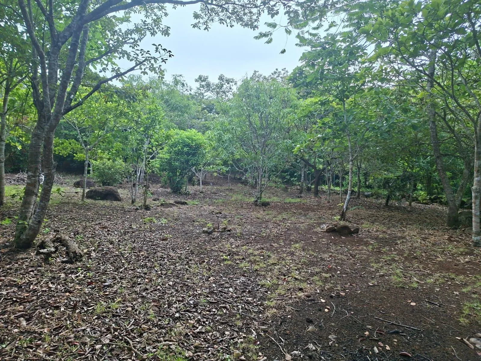 photo_server