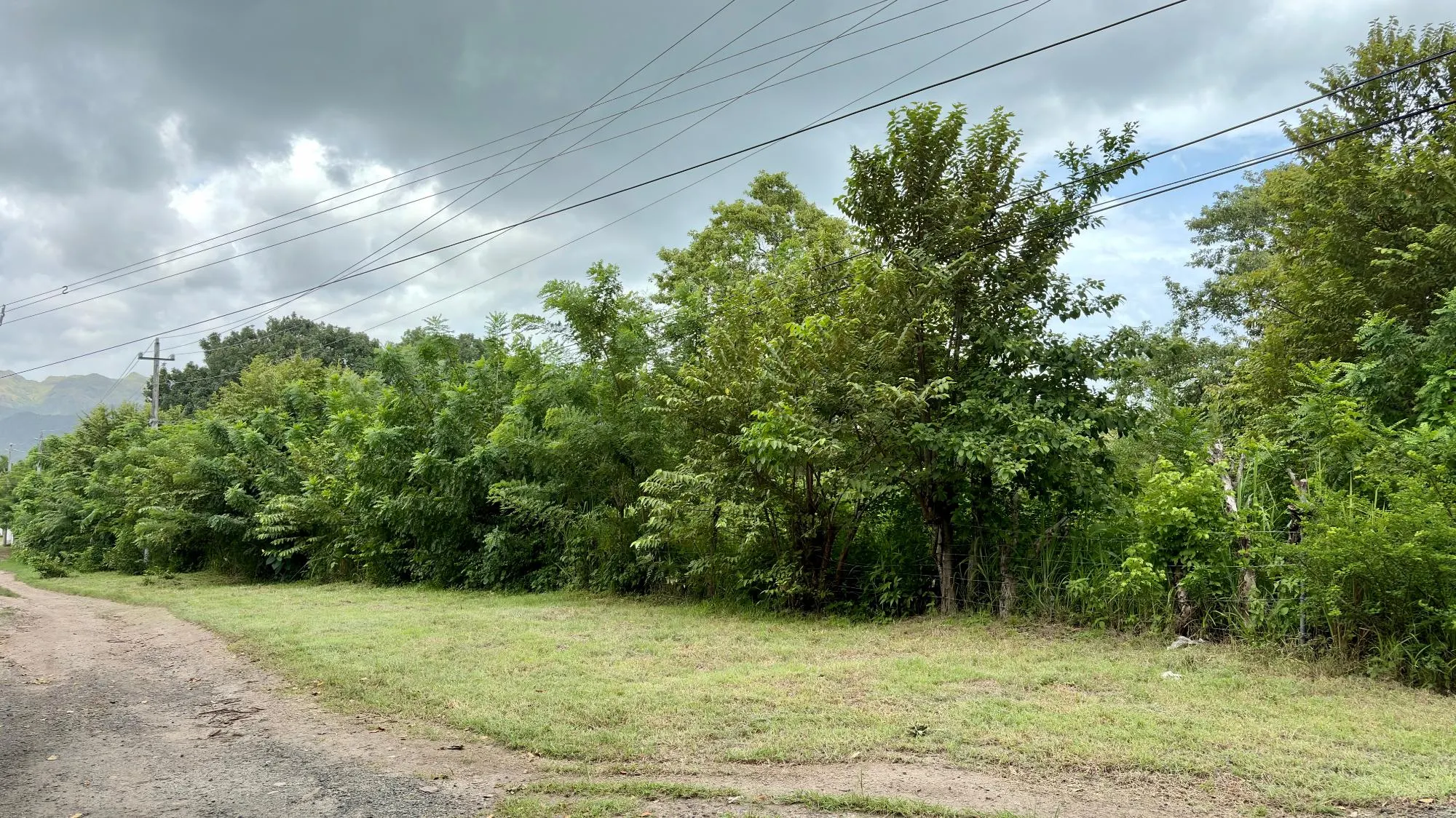 photo_server