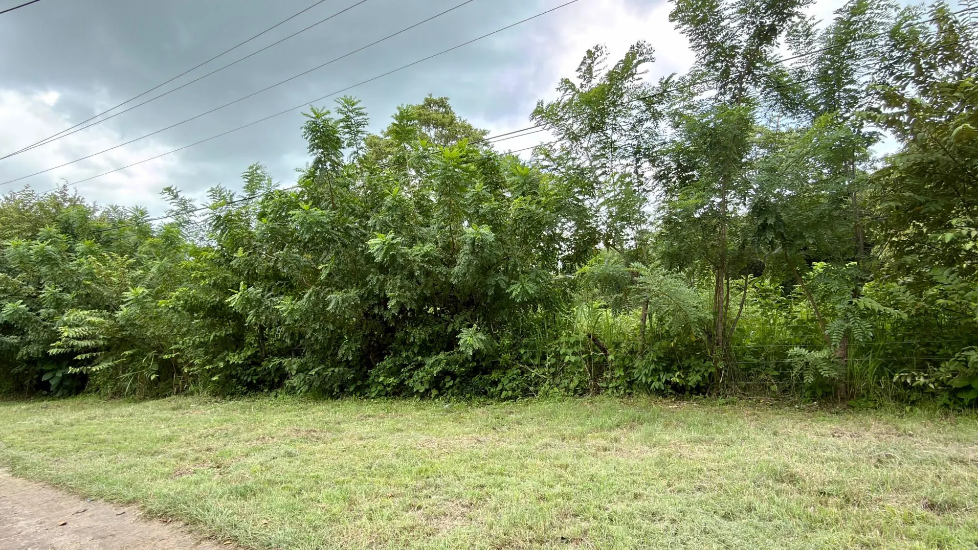 photo_server