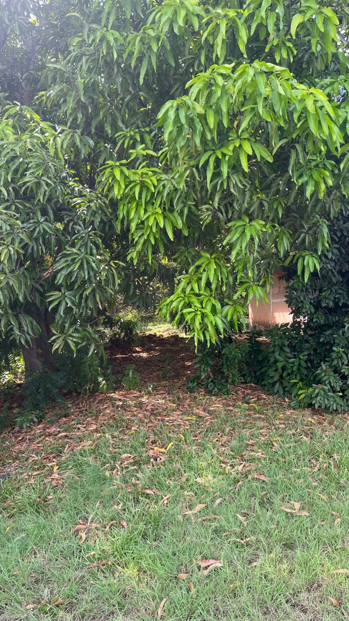 photo_server
