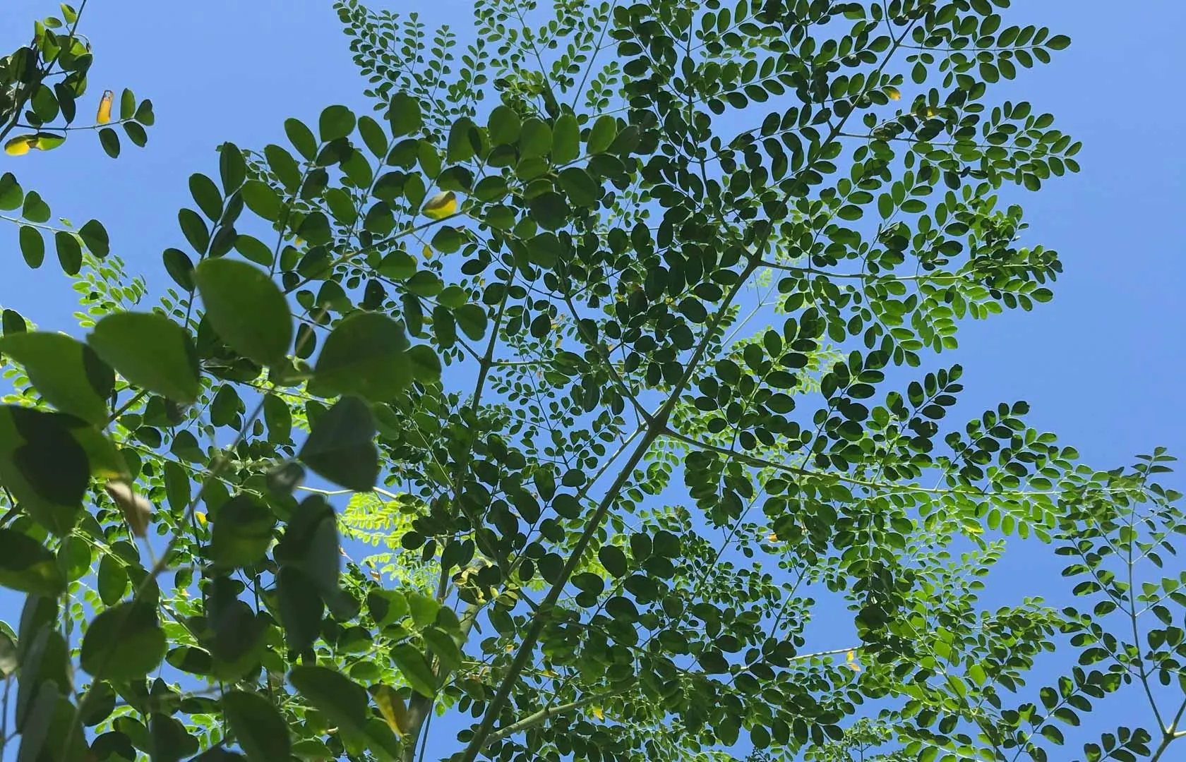 photo_server